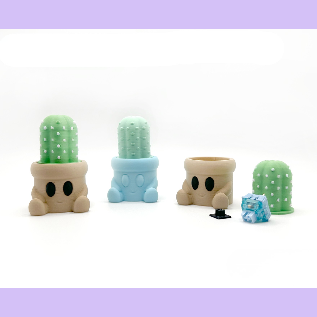 Cactus Clicker Fidget Toy